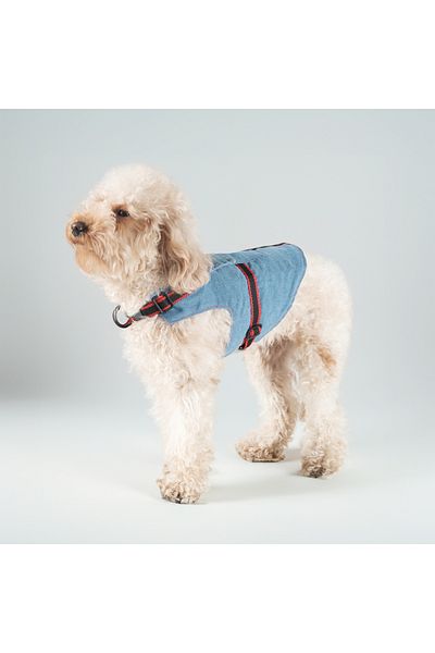 Patipatron Airtag Pocket Denim Dog Walking Collar - Anti-Escape