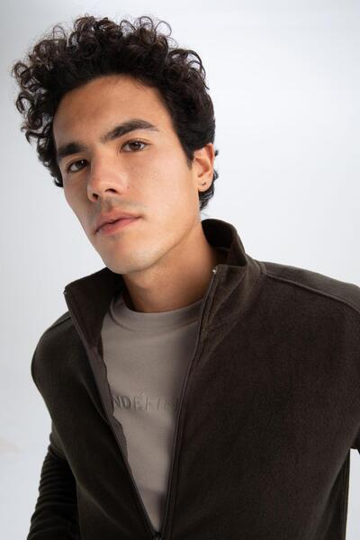 DeFacto Regular Fit Polar Dik Yaka Sweatshirt Z9651az22au