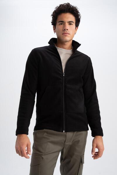 DeFacto Стандартен суитшърт с цип и стойка с яка, Z9650az22au