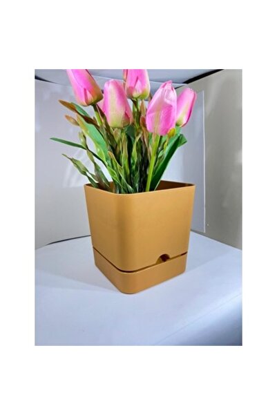 seazde POLİWORK Begonya 16CM KARE 2.3 Lt l  Saksı HARDAL