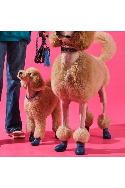 Bunico Navy Blue Dog Boots - Stylish and Comfortable Shoes