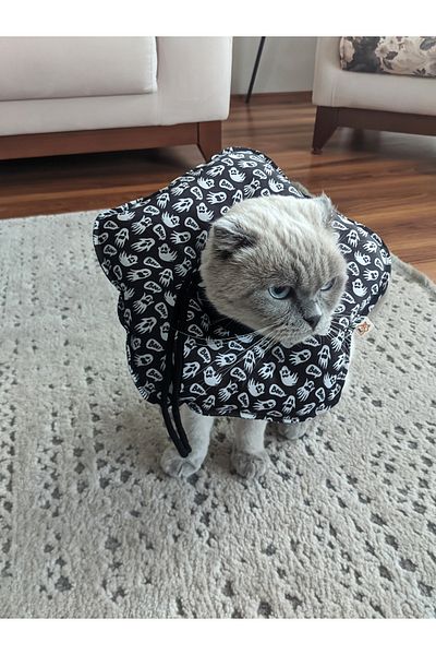 UTDpet Boo Patterned Cat and Dog Elizabeth Protective Collar