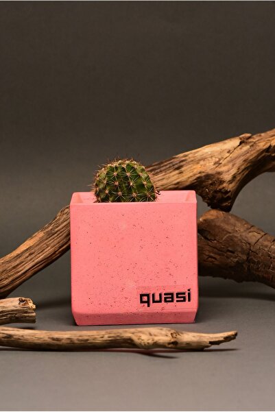 Quasi Pink Concrete Flower Pot
