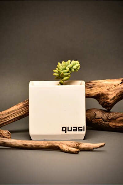 Quasi White Concrete Flower Pot