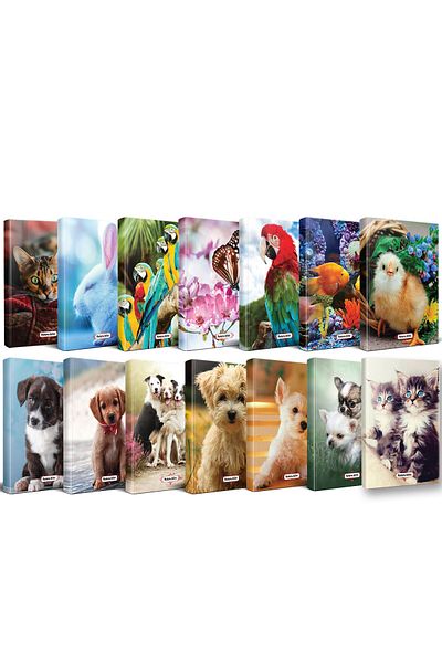 Halk Kitabevi 14 Notebook Cute Animals Planning Set