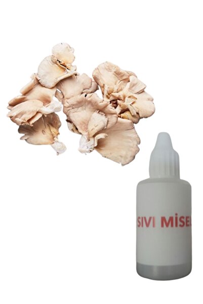 AMAZON TOHUM İstiridye Kavak Mantarı Sıvı Miseli Mantar 30 cc Miseli Tohumu