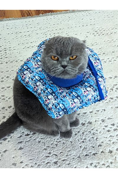 UTDpet Bluedoggy Patterned Cat and Dog Elizabeth Protective Collar