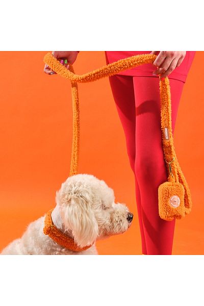 Bunico Orange Teddy Dog Collar Set