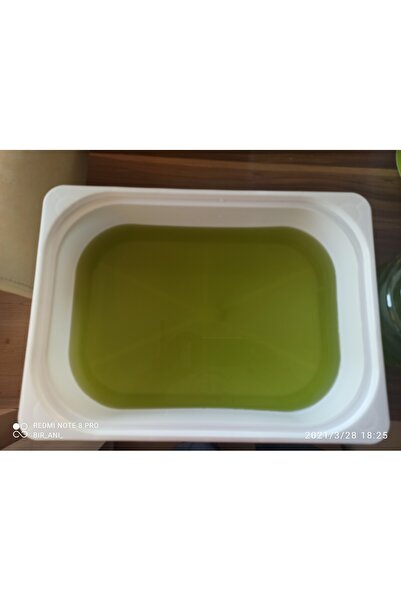 NEYSTORE Fitoplanktonu Yeşilsu , Chlorella Yosunu, 0,5 Litre Su Piresi Besini