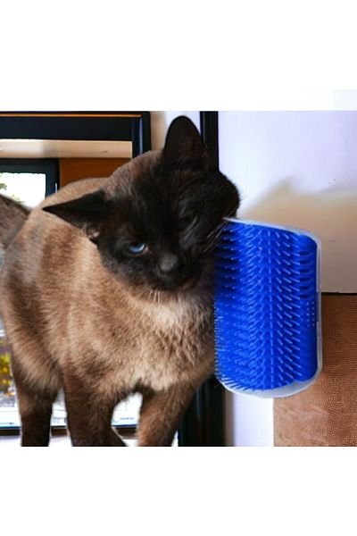 tugceshopping Cat Itching Apparatus Scratching Apparatus Cat Game Scratching Scratching And Rubbing Cat Massage