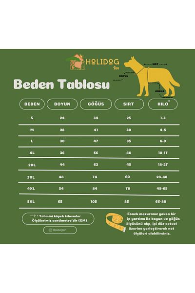 Holidog Waterproof Raincoat - Dog Raincoat with Body Fixing Detail Reflective