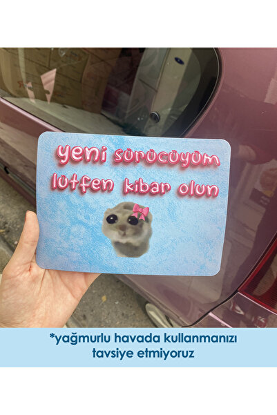 moontainills Üzgün Hamster Araba Magneti