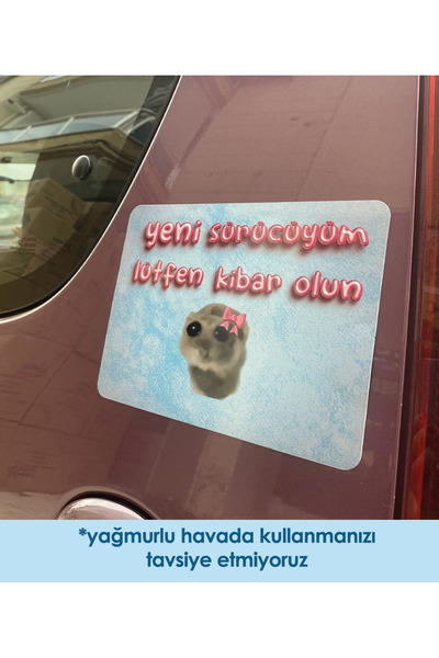moontainills Üzgün Hamster Araba Magneti