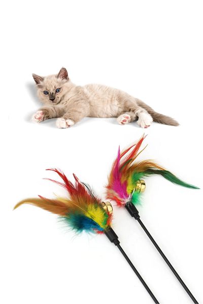 Modo Di Bellezza Furry and Rattle Cat Play Stick