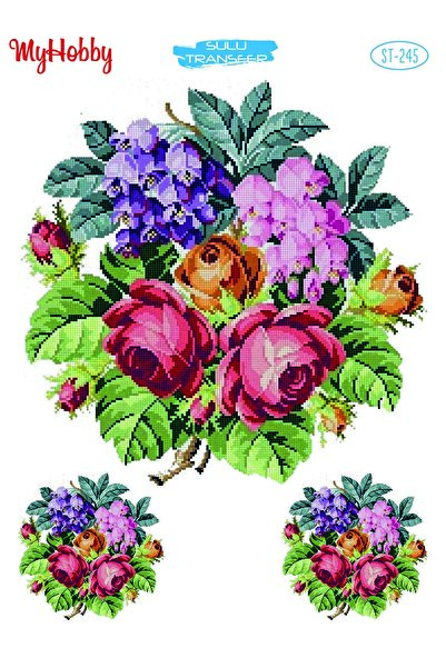 MyHobby نقل مائي SLT245 25x35 سم