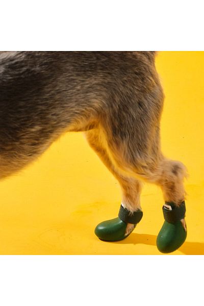 Bunico Green Dog Boots - Stylish and Comfortable Shoes