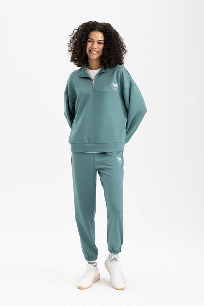 DeFacto Übergroßes bedrucktes Sport-Sweatshirt – breite Passform, Stehkragen, Reißverschluss B4572ax24sp