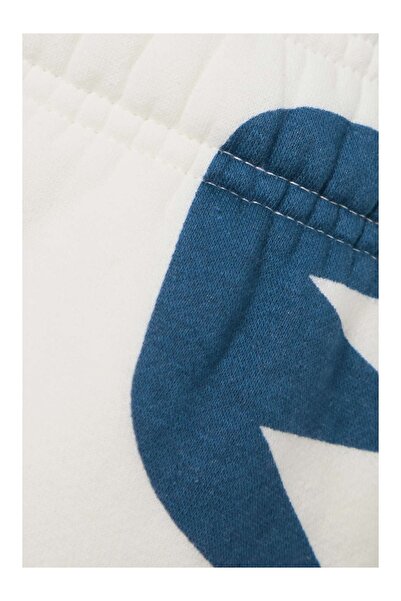 Nike Jordan Brooklyn Artist Series Fleece Kadın Eşofman Altı NDD SPORT