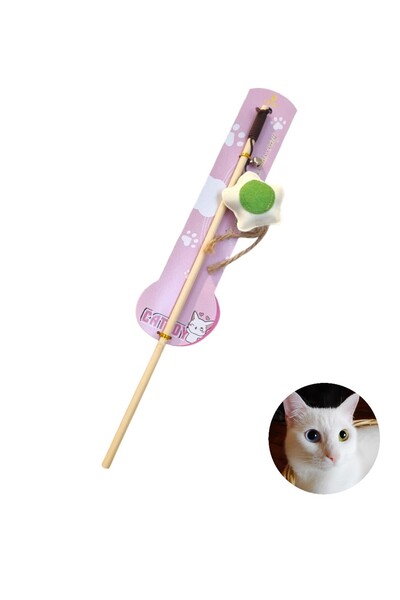Suencu Cat Playing Rod & Silicone Teething Brush Set