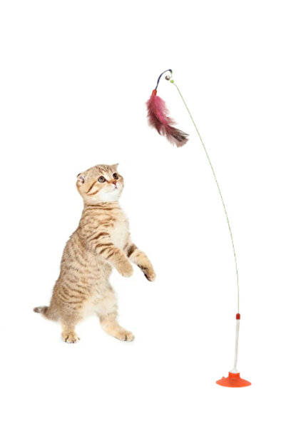 TİNEKE PETSHOP صنارة صيد جديدة مقاس 90 سم مع كوب شفط