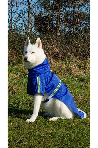 Holidog Waterproof Raincoat - Dog Raincoat with Body Fixing Detail Reflective