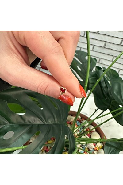 Liva Cerrahi Çelik Taşlı Piercing Labret Kulak Conch Forward Helix Kıkırdak Tragus Küpe