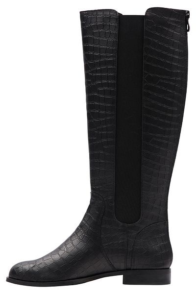 Faina Vůdce Stiefel