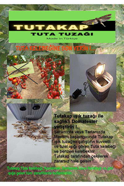 AKAYLAR TUTAKAP TUTA KELEBEĞİ TUZAĞI