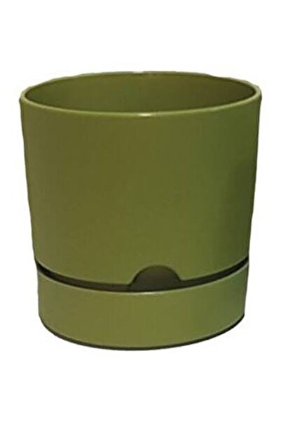 seazde POLİWORK Begonya  9 CM Tasarım Renkli 0.5 Lt Özel Altlıklı Saksı YEŞİL