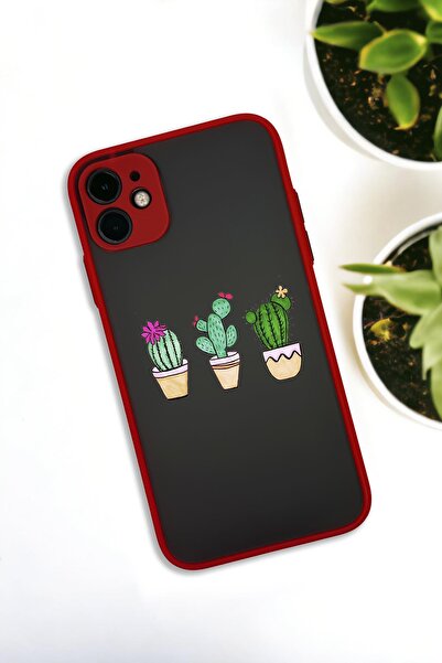 mooodcase 11 Uyumlu Üçlü Kaktüs Desenli Buzlu Şeffaf Lüx Telefon Kılıfı