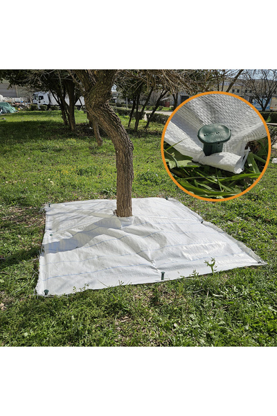 SeraTrend 2x2 METRE AĞAÇ KORUMA ÖRTÜSÜ VE SABİTLEME ÇİVİSİ BEYAZ YER ÖRTÜSÜ Y...