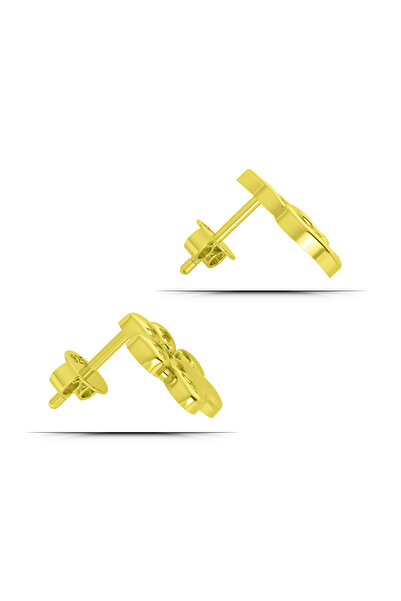 TEK TARZIM TAKI Kedi Pati Kombin 925 Ayar Gümüş Çocuk Küpesi Çivili Altın Renk