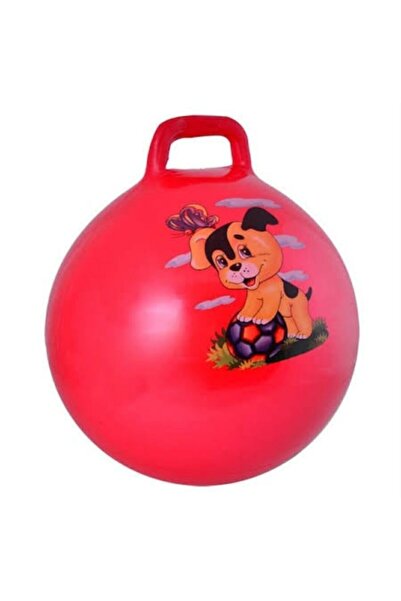 Efe Toys Zıp Zıp Top Çocuk Top