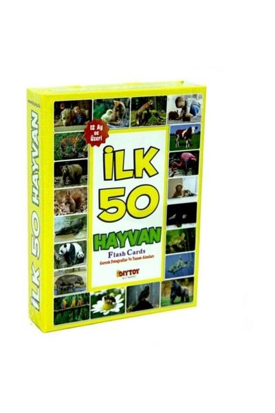 Diytoy أفضل 50 صورة حيوانية حقيقية في مساحات المعيشة