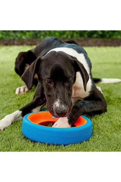 Chuckit Fetch Wheel Dog Toy Large