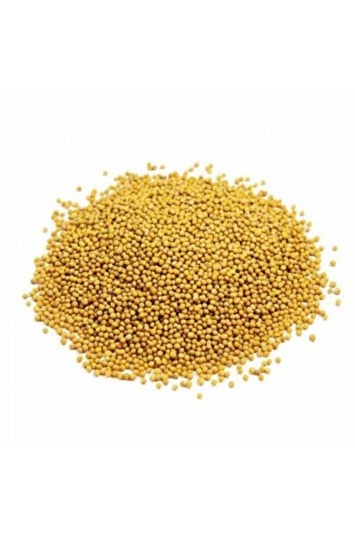 Sarı Hardal Tohumu (1.kalite) 250 Gr
