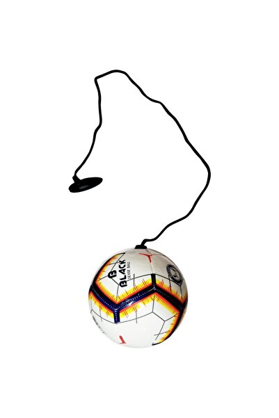 Povit Black Senseball Training Ball Stitched No. 2 Training Ball with String