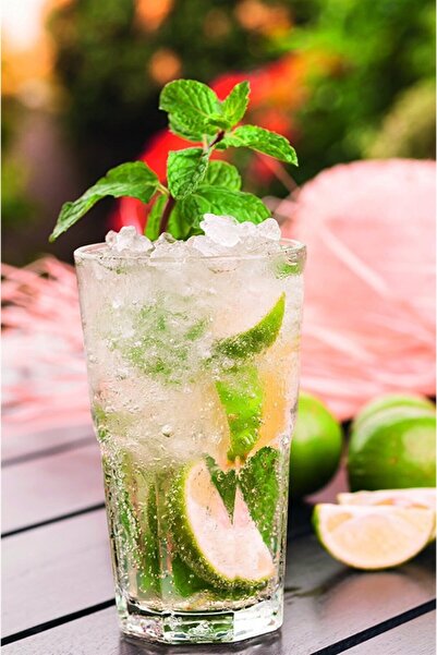 Caso 3617 Mx1000 Smoothıe Blender