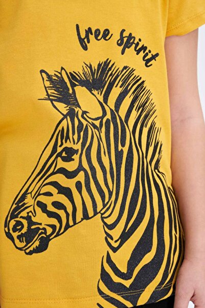 DeFacto Κοντό μανίκι με στάμπα Zebra