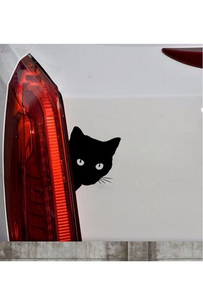 ECELUXE Cute Cat Z Car Sticker Pasting