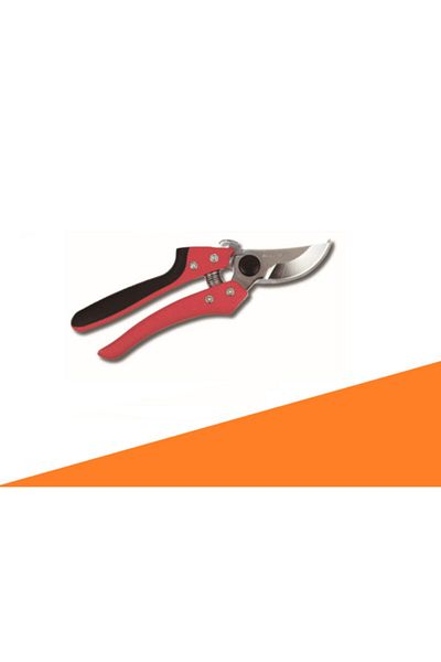 Ars Cb-9 Pruning Scissors