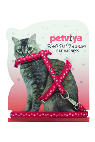 Petviya Kirmizi Pati Desenli Ayarlanabilir Kedi Gogus Tasmasi Fiyati Yorumlari Trendyol