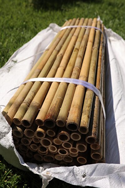 Gardinus 200 Cm X 200 Cm Gerçek Bambu Çit / Paravan