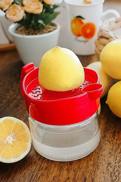 Moola Glass Lemon Squeezer Mixed Color