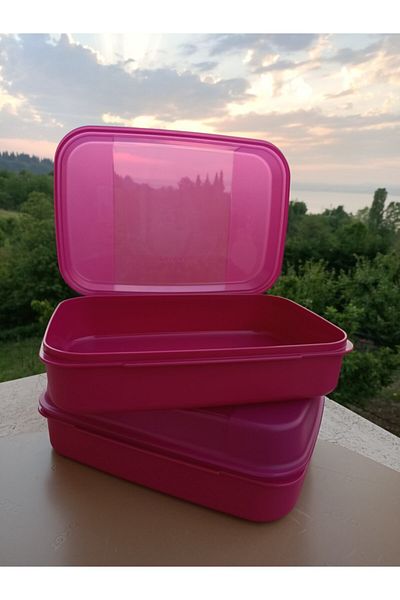 Tupperware F20 Storage Set of 2