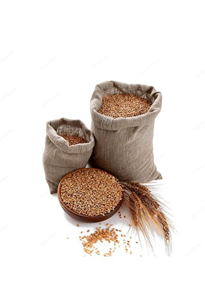 Genel Markalar Buğday 5 Kğ Yem Güvercin Yemi Tavuk Kumru Hindi Civciv Kaz Kuş Yumurtacı Yumurta Bıldırcın Keklik