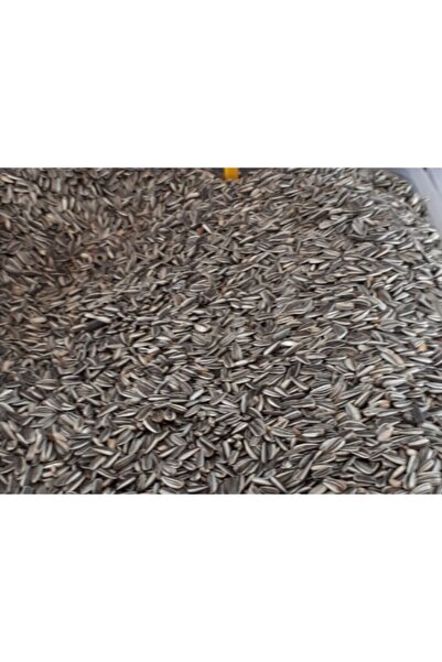 MOYASHOP 1 Kg Alaca Papağan Çekirdeği - Alacalı - Çekirdek - Kuş Yemi - Yem