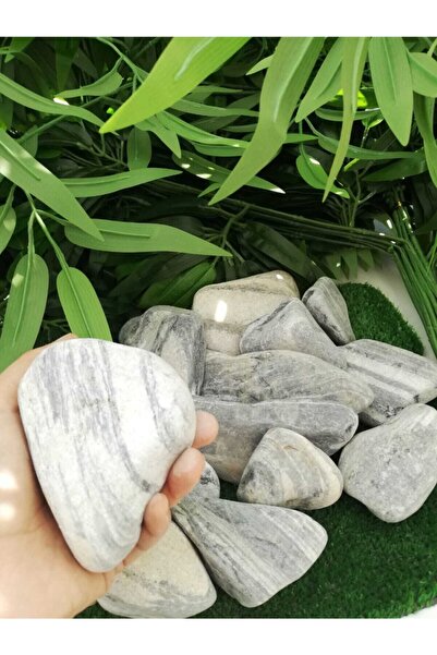Ekodoğa Siyah Beyaz Çizgili Dolomit Taş 5 kg 6-10  cm Bahçe Süs Taşı Dekorati...