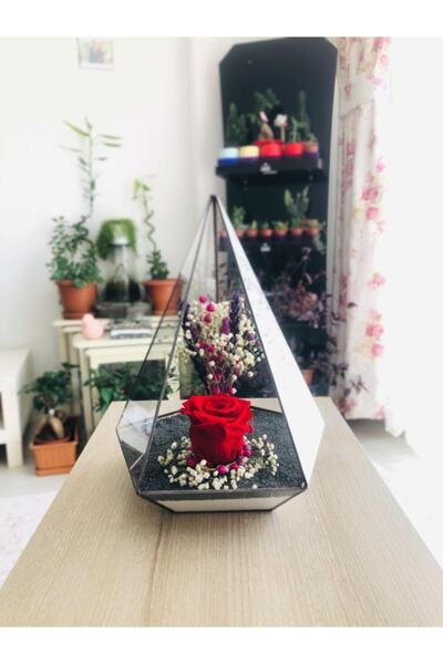 vitrayverteks Kırmızı Solmayan Gül Teraryum Cam Fanus Antrasit