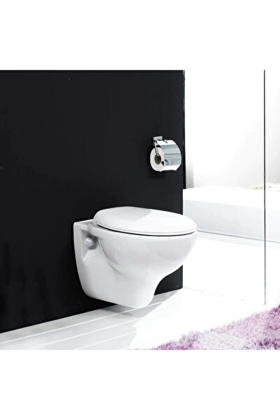 Turkuaz Lila Asma Klozet Ve Kapak